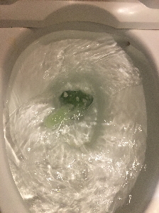 トイレつまり 草加